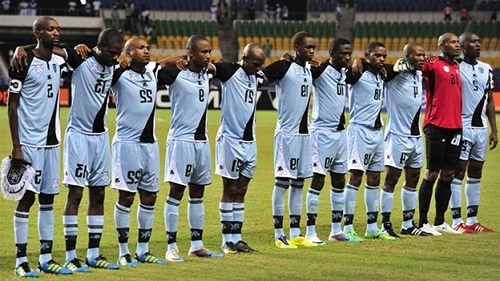 The Zebras